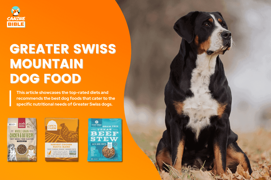 Best Dog Food For Greater Swiss Mountain Dogs