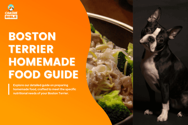 Boston Terrier Homemade Food: Recipes & Diet [Guide & Tips]