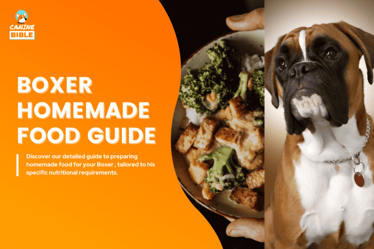 Boxer Dog Homemade Food Guide: Recipes & Nutrition Tips
