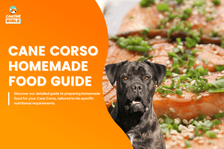 Cane Corso Homemade Dog Food: Recipes & Diet Tips