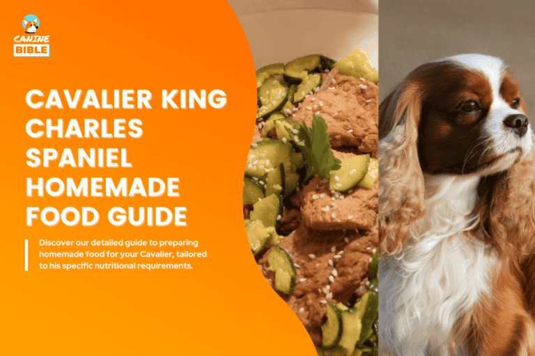 Cavalier King Charles Spaniel Homemade Food Recipes & Diet Guide Canine Bible
