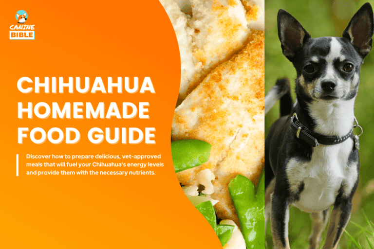 Homemade Dog Food For Chihuahuas Guide: Best Recipes & Nutrition