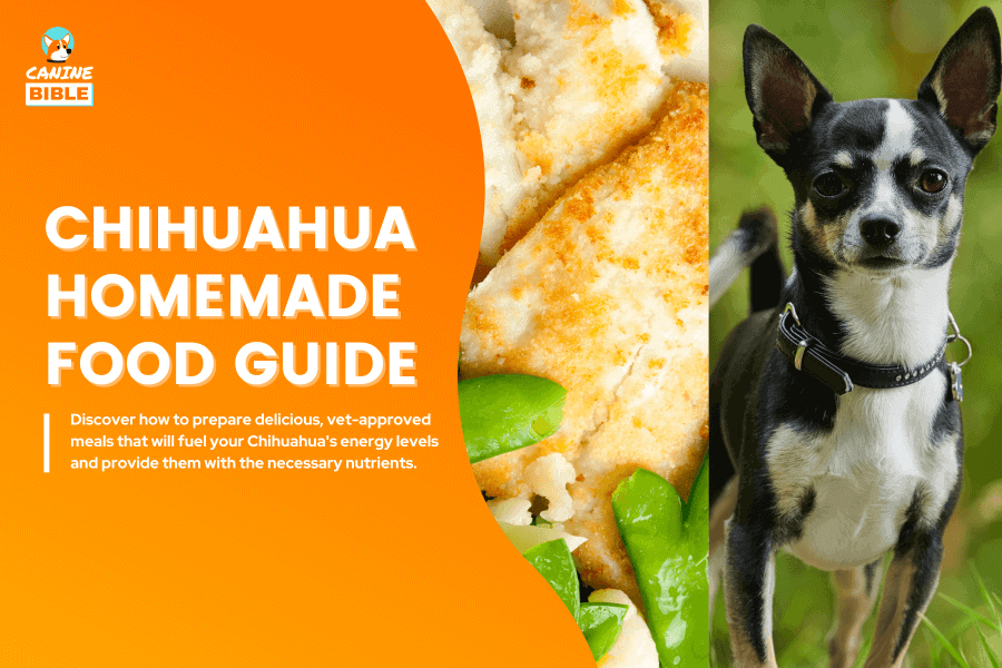 chihuahua homemade dog food