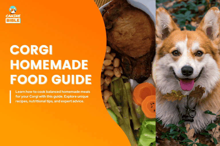 Best Homemade Food For Corgis: Recipes & Guide