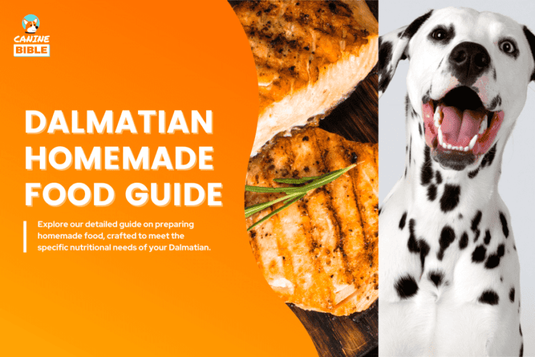 Dalmatian Homemade Dog Food Diet & Recipes [Guide]