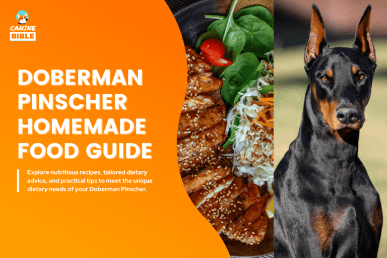 Doberman Pinscher Homemade Dog Food Guide: Recipes, Nutrition & Tips