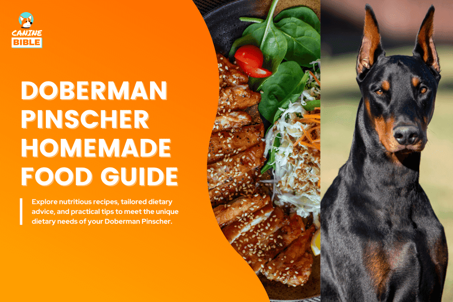 Doberman Pinscher Homemade Dog Food Guide: Recipes, Nutrition & Tips -  Canine Bible