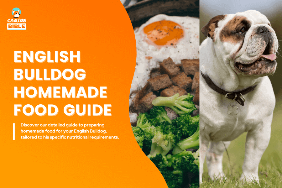 english bulldog homemade dog food