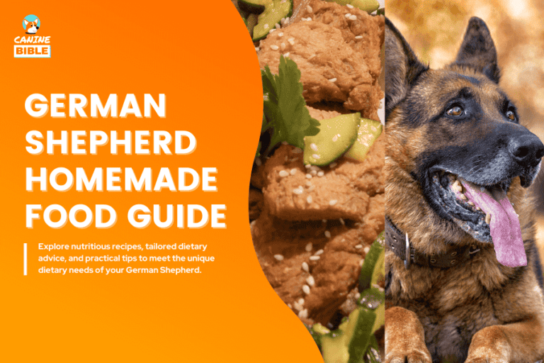 German Shepherd Homemade Food Recipes & Diet (Puppy & Adult)