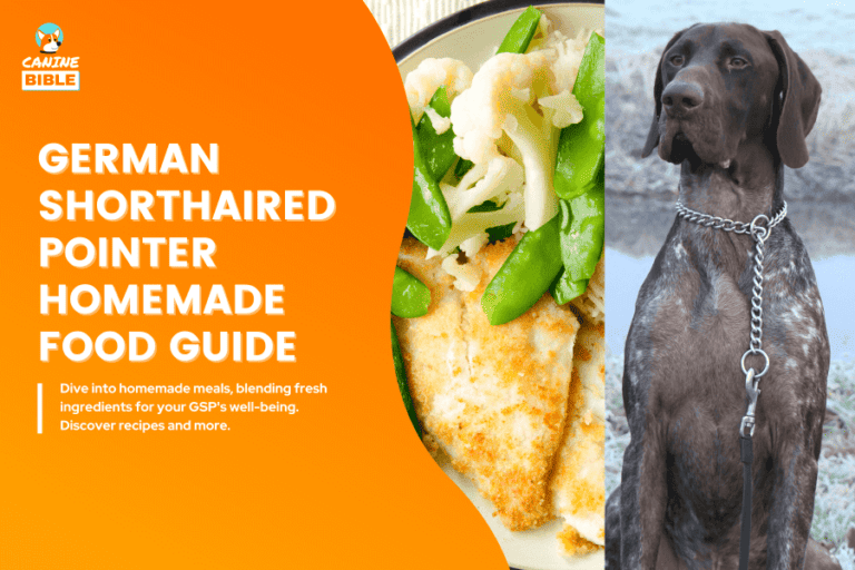 German Shorthaired Pointer Homemade Dog Food: Recipes & Guide