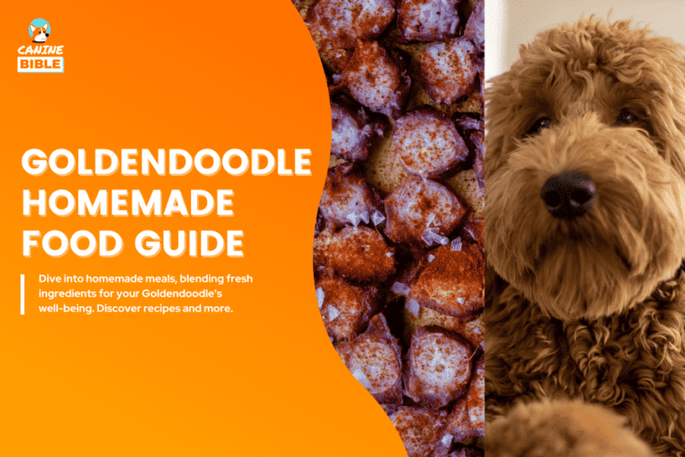 Goldendoodle Homemade Dog Food Recipes & Diet Guide