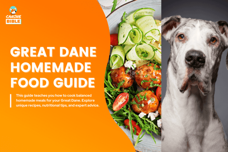 Great Dane Homemade Dog Food Guide: Recipes & Nutrition Advice