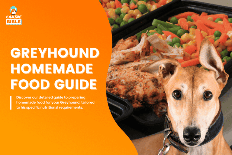greyhound homemade dog food