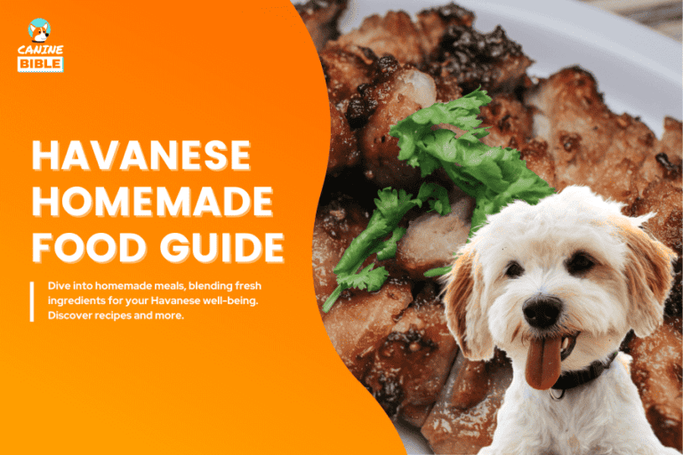 Havanese Homemade Dog Food: Recipes & Diet Guide