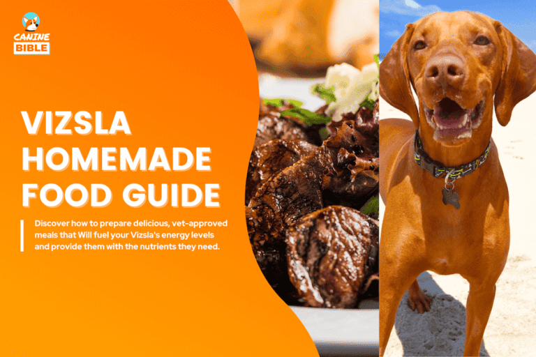 Vizsla Homemade Dog Food Complete Guide: Recipes & Nutrition
