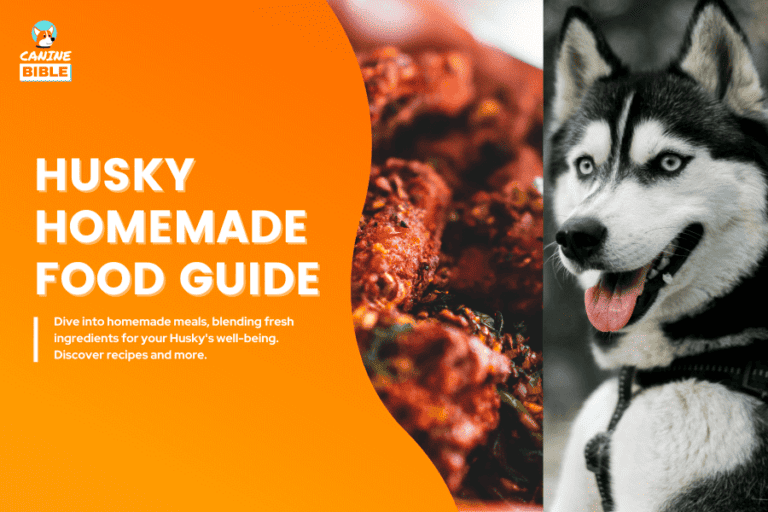 Homemade Dog Food For Huskies: Recipes, Nutrition & Tips