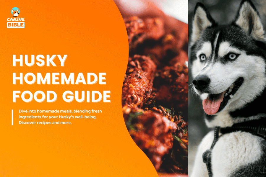 homemade food for husky