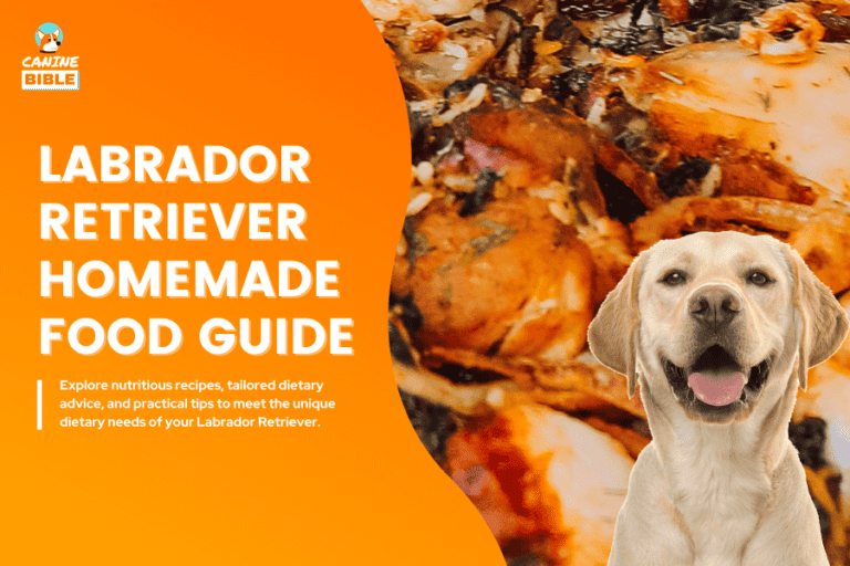 Homemade Food Recipes For Labrador Retrievers: Adult & Puppy