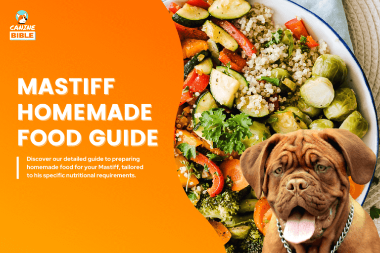 Homemade Dog Food For Mastiffs: Recipes, Diet & How to Cook