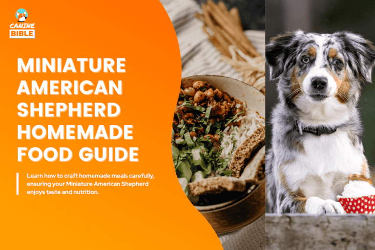 Miniature American Shepherd Homemade Food: Recipes & Guide