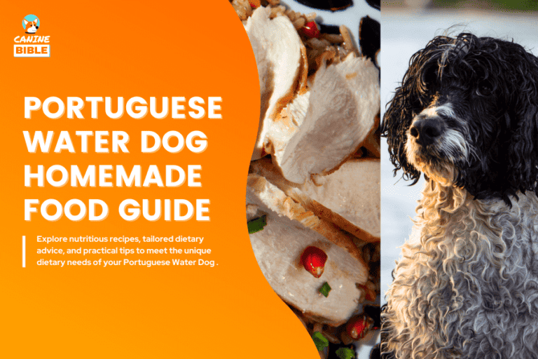 Portuguese Water Dog Homemade Recipes & Diet Guide