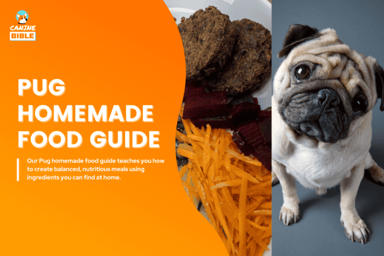 pug homemade dog food