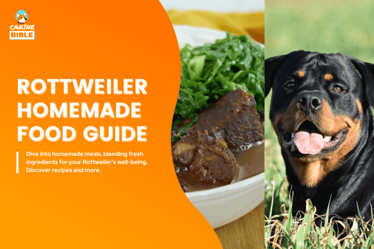 Rottweiler homemade dog food