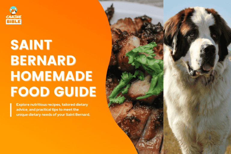 Homemade Dog Food For Saint Bernards: Recipes & Diet