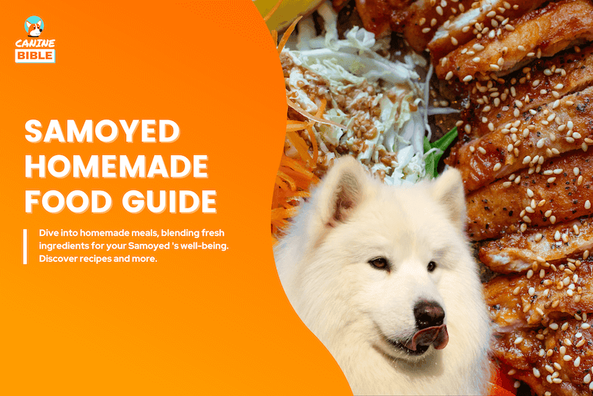 samoyed homemade dog food