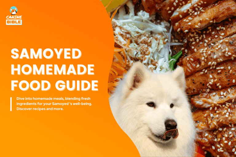 Samoyed Homemade Food Recipes & Diet Guide