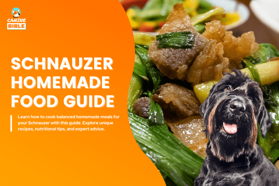 Schnauzer homemade dog food