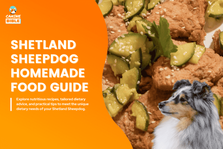 Shetland Sheepdog Homemade Food