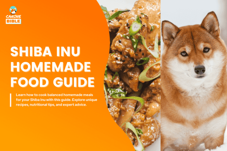 shiba inu homemade food
