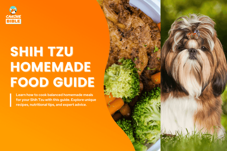 Best Shih Tzu Homemade Dog Food Recipes: Puppy & Adult [Guide]