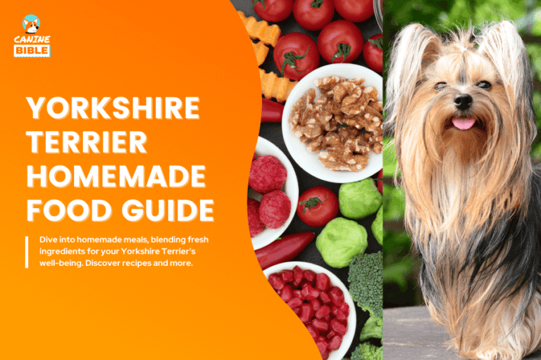 Yorkshire Terrier Homemade Food Guide: Best Yorkie Recipes & Nutrition Advice