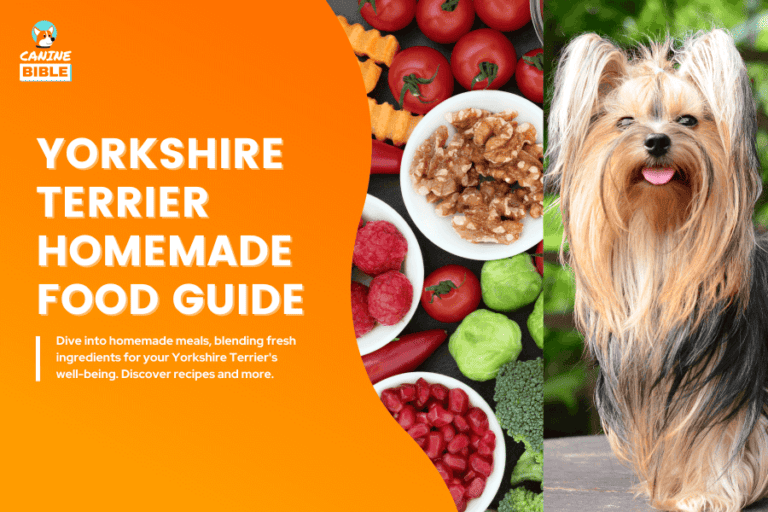 Yorkshire Terrier Homemade Food