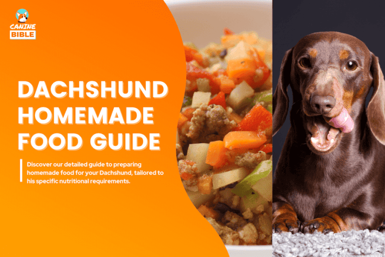 Dachshund Homemade Dog Food: Recipes, Nutrition & Tips