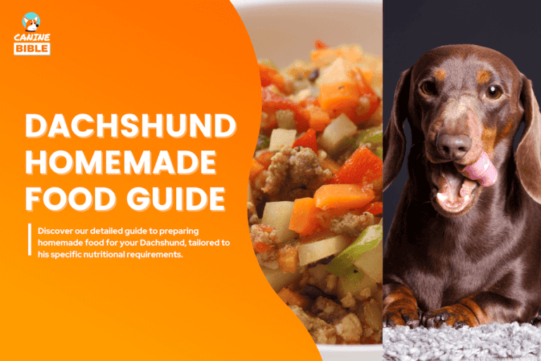 Dachshund Homemade Dog Food