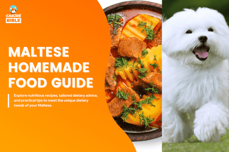 Maltese Homemade Dog Food Recipes & Cooking Guide