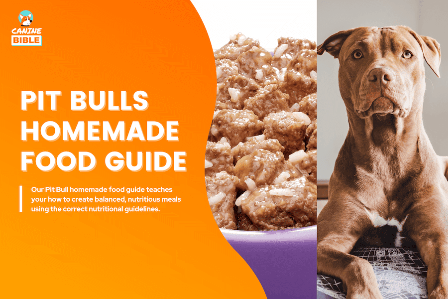 homemade dog food for pit bulls