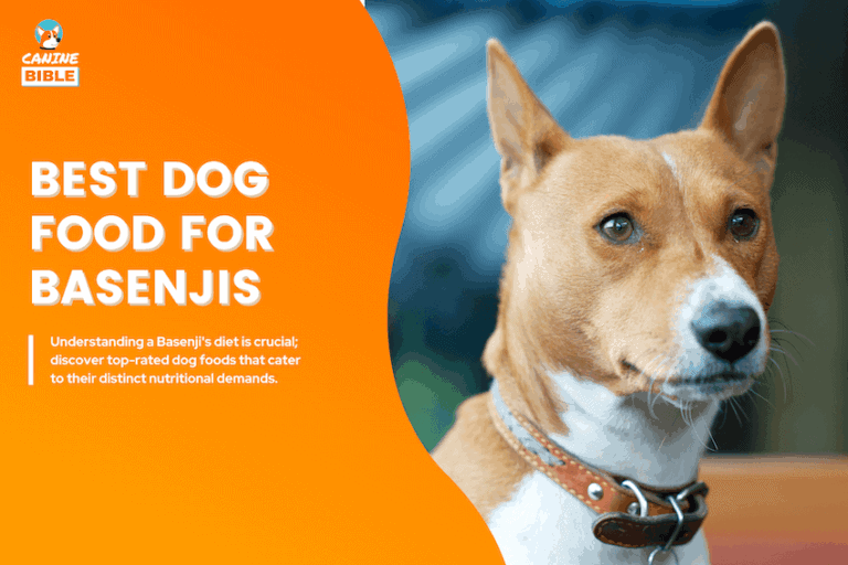 Best Dog Food For Basenjis