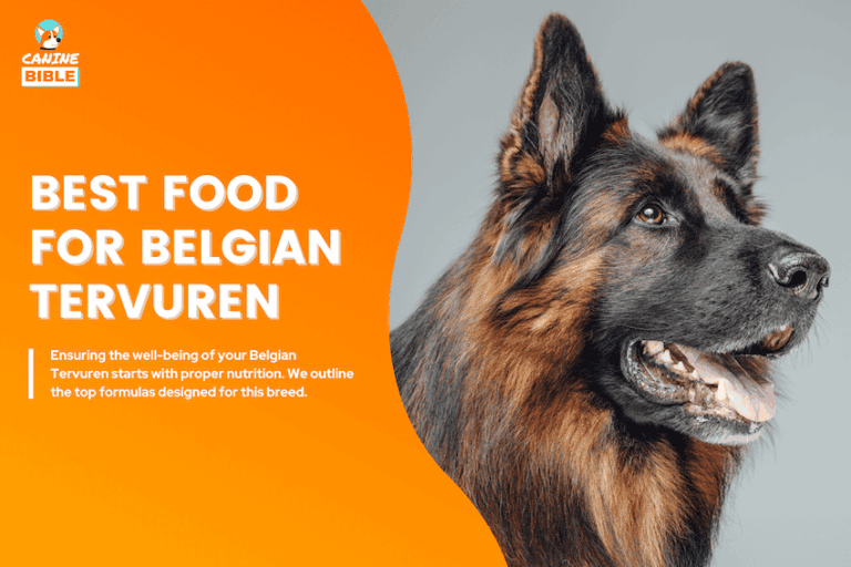 Best Dog Food For Belgian Tervuren