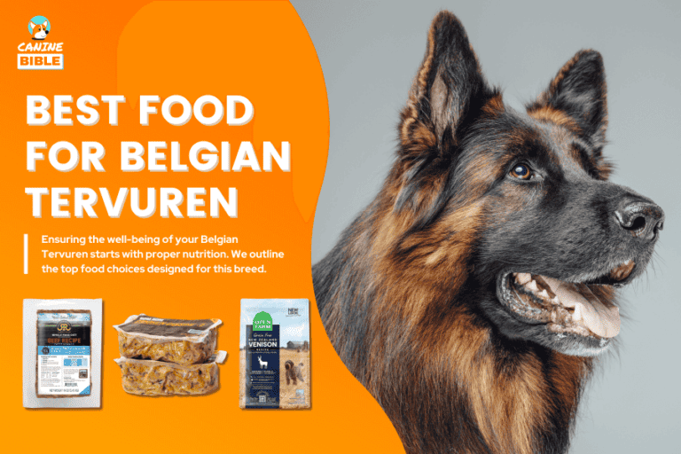 Best Dog Food For Belgian Tervuren