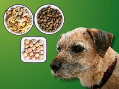 Best Dog Food For Border Terriers chapter 3
