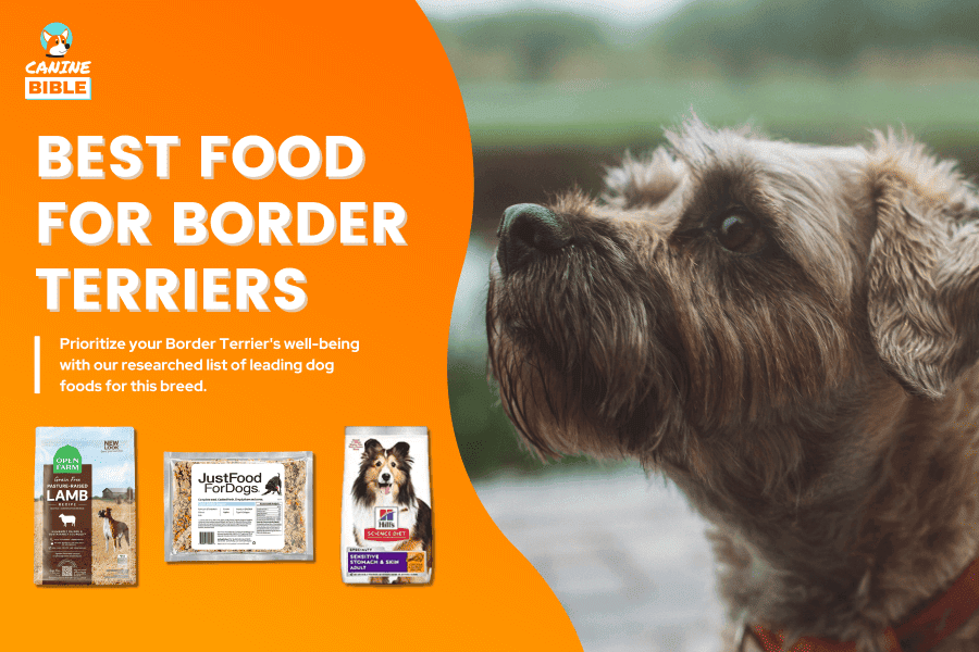 Best Dog Food For Border Terriers