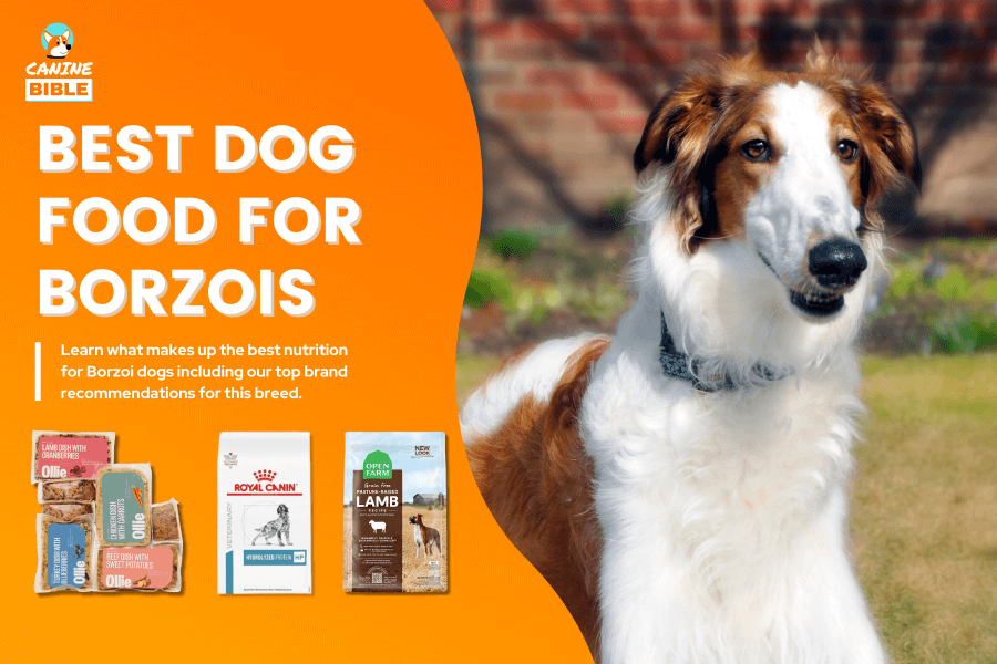 Best Dog Food For Borzois