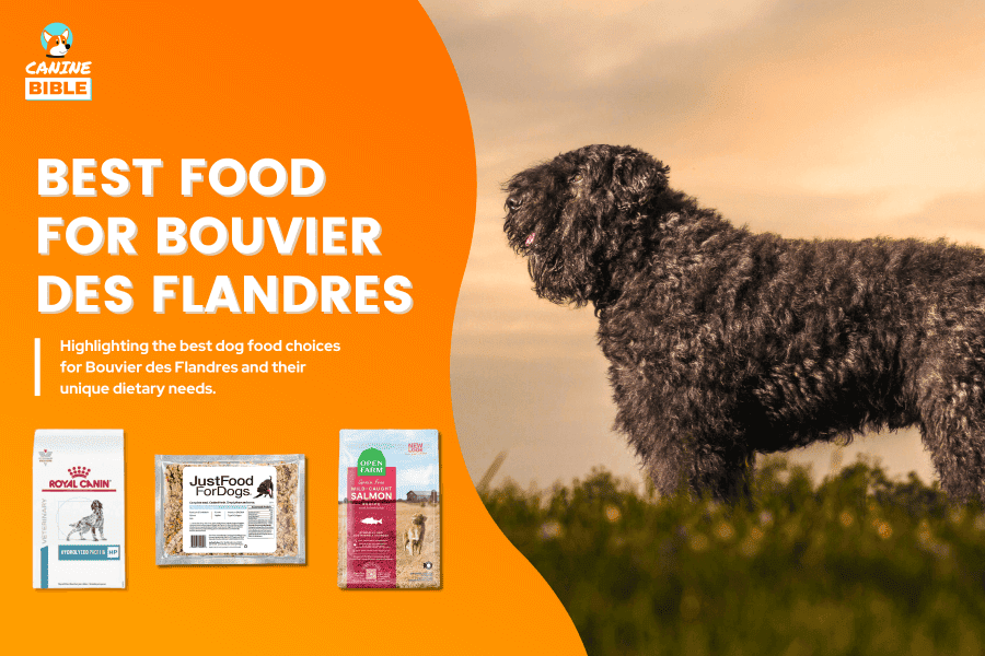 Best Dog Food For Bouvier des Flandres
