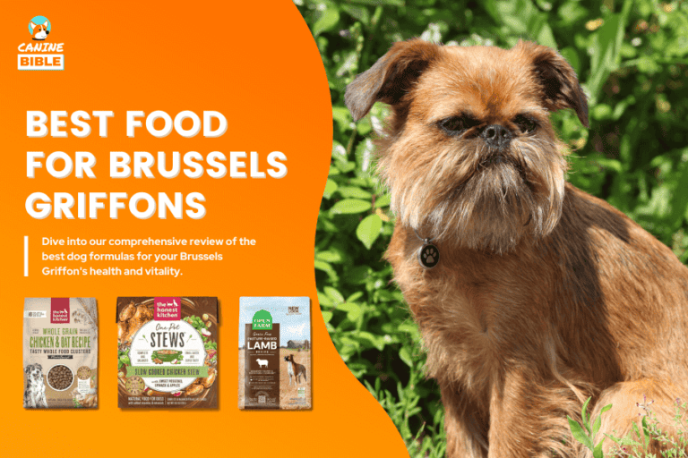 Best Dog Food For Brussels Griffons 2023 — Top Brands Reviewed