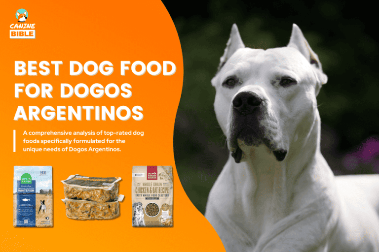 Best Dog Food For Dogos Argentinos