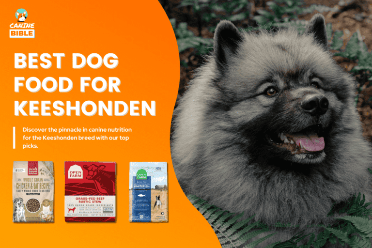 Best Dog Food For Keeshonden: Reviews & Picks